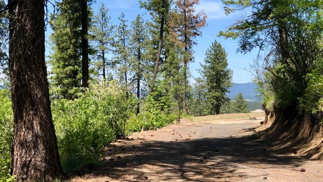 S Swenson Rd, Deer Park, WA 99006