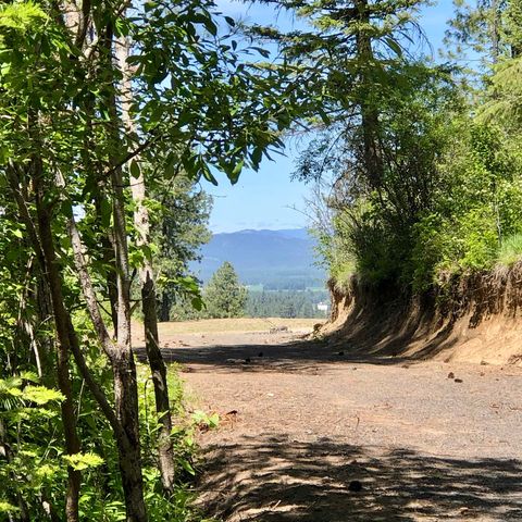 S Swenson Rd, Deer Park, WA 99006