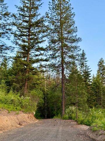 S Swenson Rd, Deer Park, WA 99006