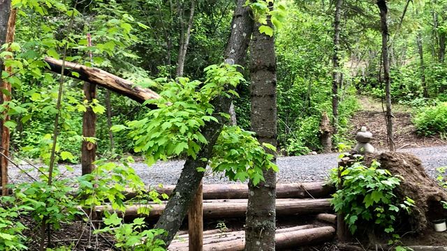 S Swenson Rd, Deer Park, WA 99006