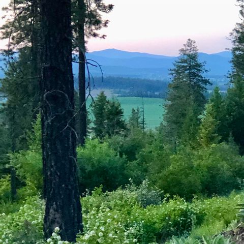 S Swenson Rd, Deer Park, WA 99006