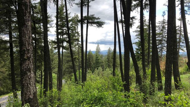 S Swenson Rd, Deer Park, WA 99006