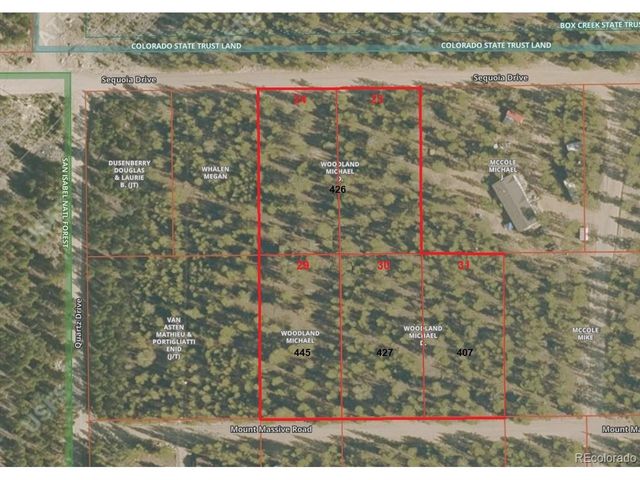 445 Mt Massive Dr, Twin Lakes, CO 81251