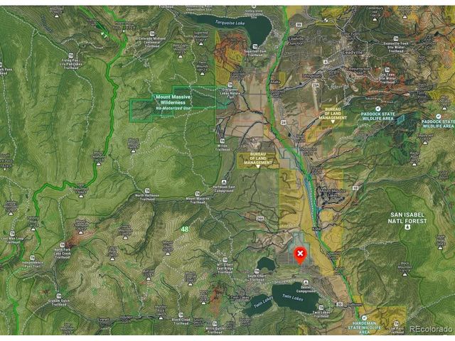 445 Mt Massive Dr, Twin Lakes, CO 81251