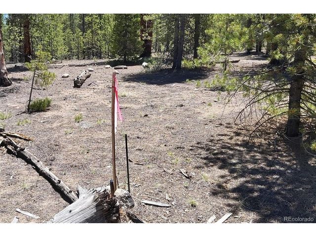 445 Mt Massive Dr, Twin Lakes, CO 81251