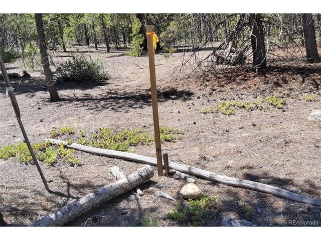 445 Mt Massive Dr, Twin Lakes, CO 81251