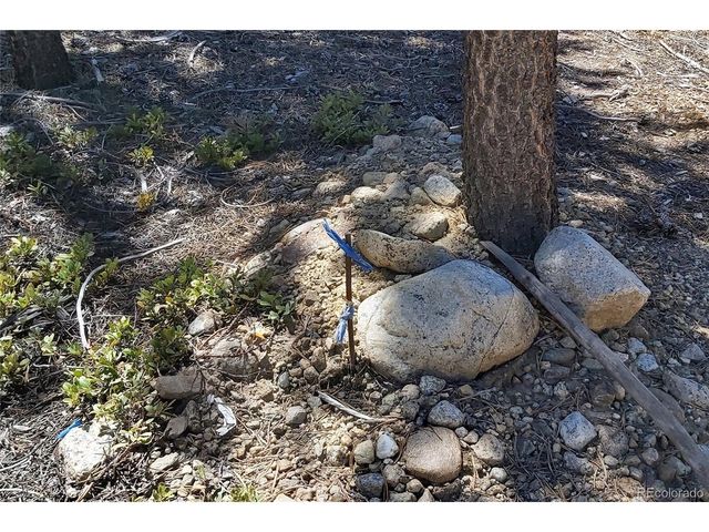 445 Mt Massive Dr, Twin Lakes, CO 81251