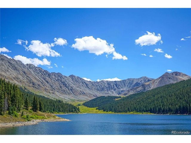 445 Mt Massive Dr, Twin Lakes, CO 81251