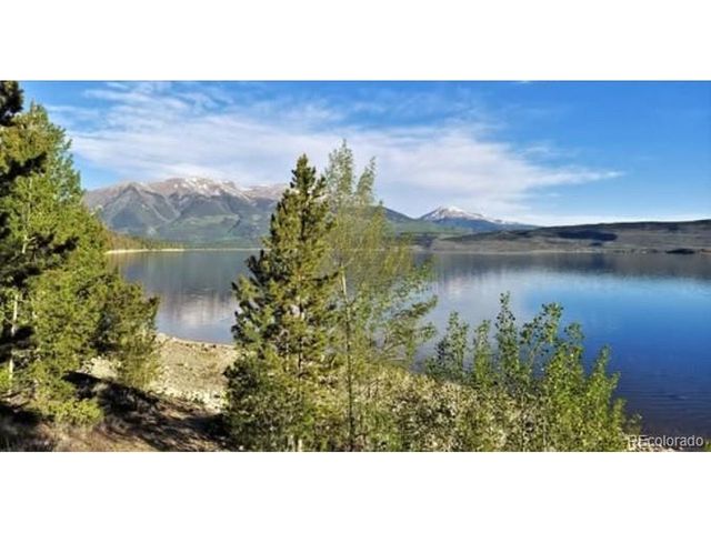445 Mt Massive Dr, Twin Lakes, CO 81251