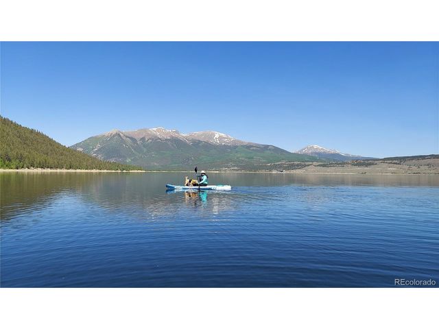 445 Mt Massive Dr, Twin Lakes, CO 81251