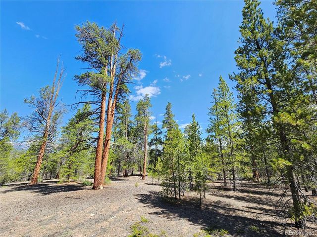 445 Mt Massive Dr, Twin Lakes, CO 81251