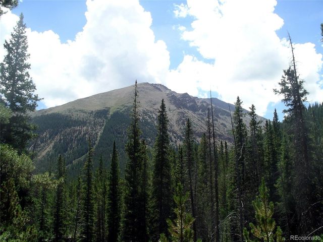 445 Mt Massive Dr, Twin Lakes, CO 81251