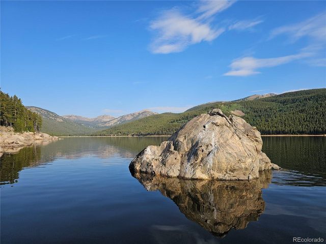 445 Mt Massive Dr, Twin Lakes, CO 81251