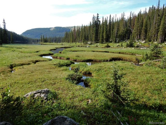 445 Mt Massive Dr, Twin Lakes, CO 81251