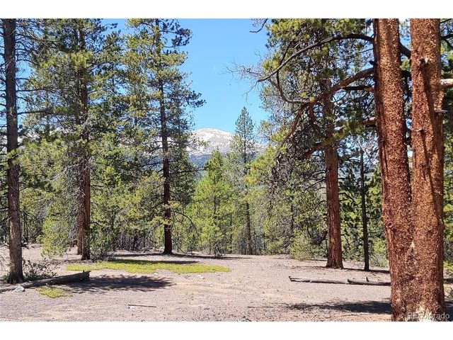 445 Mt Massive Dr, Twin Lakes, CO 81251