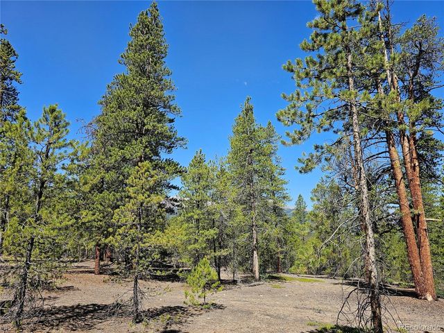 445 Mt Massive Dr, Twin Lakes, CO 81251