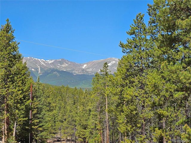 445 Mt Massive Dr, Twin Lakes, CO 81251