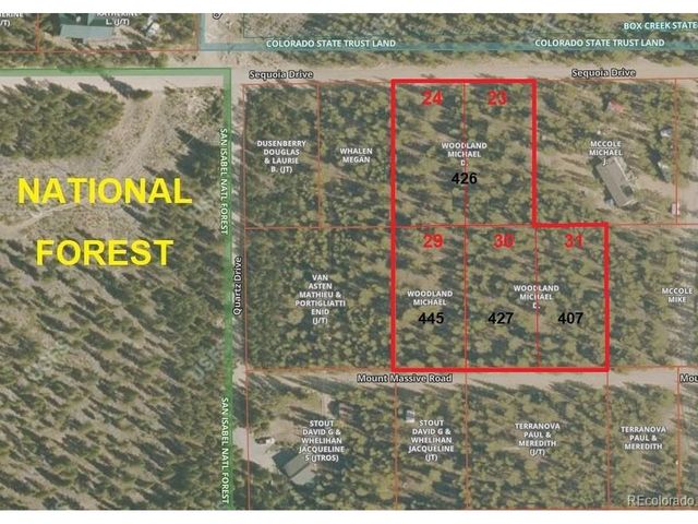 445 Mt Massive Dr, Twin Lakes, CO 81251