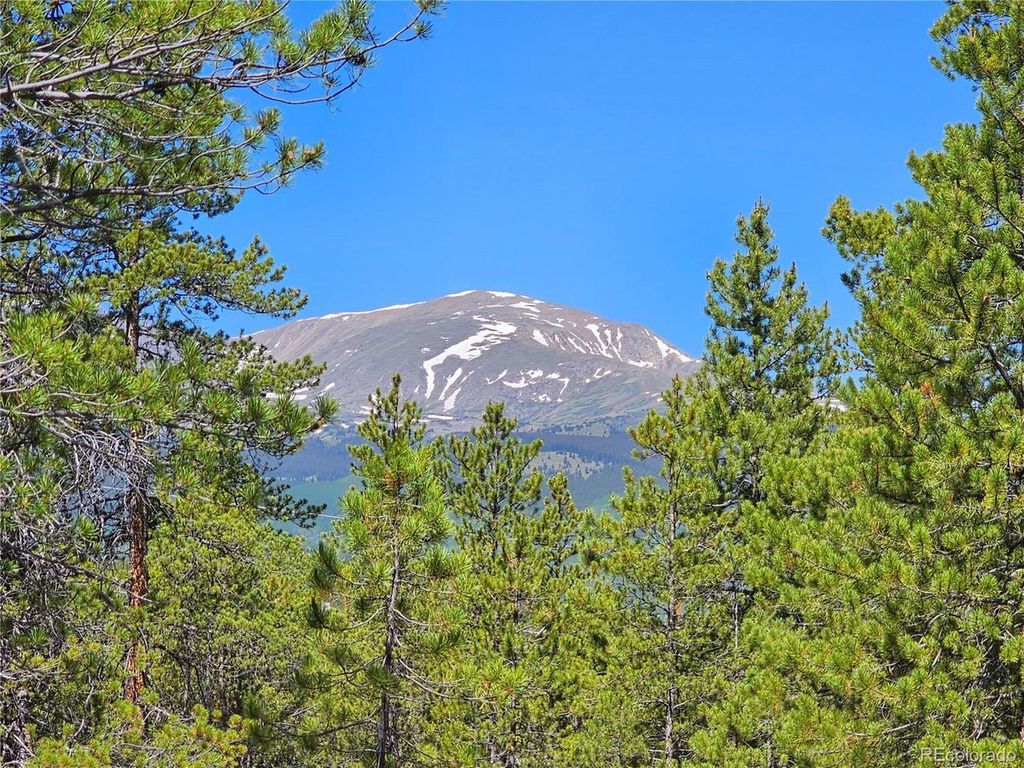 445 Mt Massive Dr, Twin Lakes, CO 81251