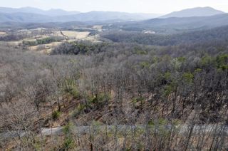 000 Short Hill DR, Buchanan, VA 24066