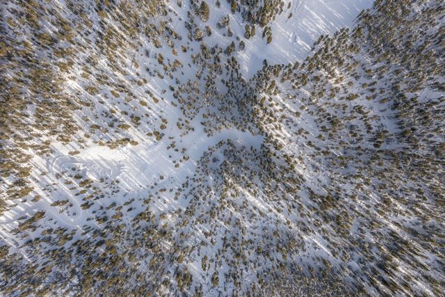 124 Ulerys Lakes Road, Big Sky, MT 59716
