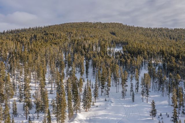 124 Ulerys Lakes Road, Big Sky, MT 59716