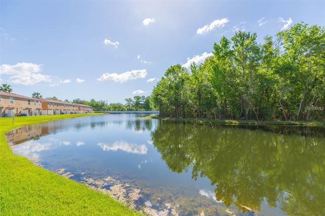 4220 WINDING RIVER WAY, Land O Lakes, FL 34639