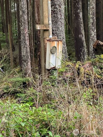 44 Robin Lane, Pacific Beach, WA 98571