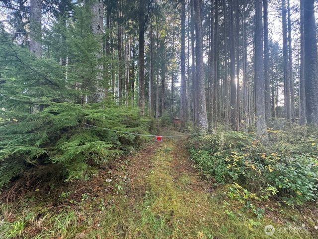 44 Robin Lane, Pacific Beach, WA 98571