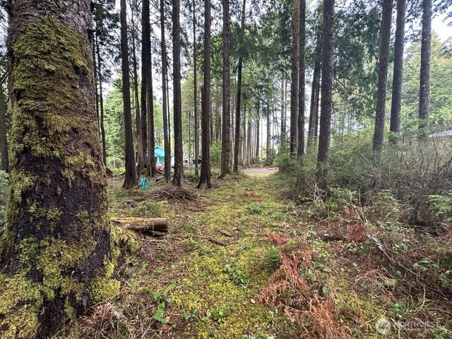 44 Robin Lane, Pacific Beach, WA 98571