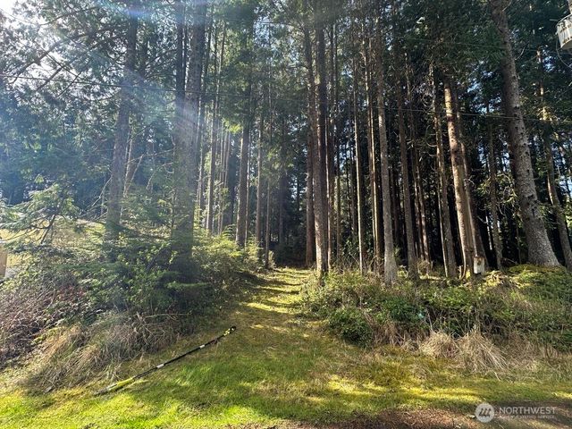 44 Robin Lane, Pacific Beach, WA 98571