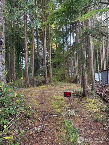 44 Robin Lane, Pacific Beach, WA 98571