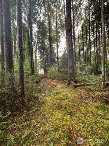 44 Robin Lane, Pacific Beach, WA 98571