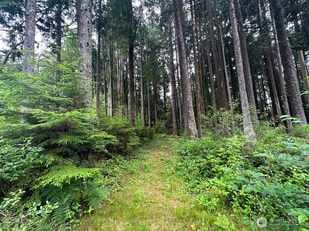 44 Robin Lane, Pacific Beach, WA 98571