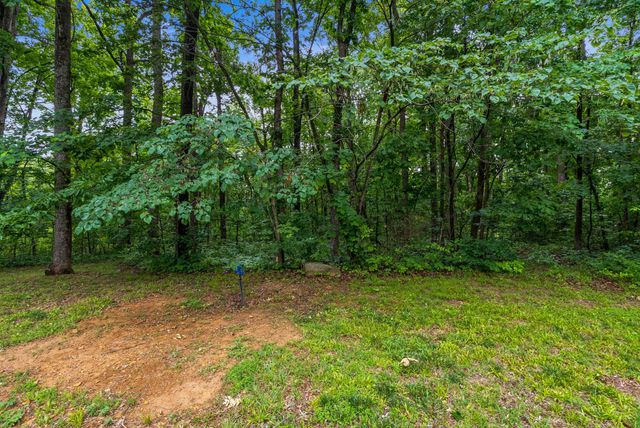 150A Dogwood Springs Dr, Portland, TN 37148
