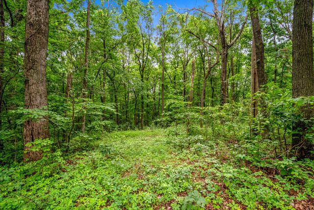 150A Dogwood Springs Dr, Portland, TN 37148