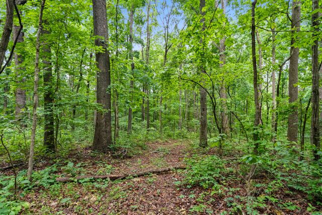 150A Dogwood Springs Dr, Portland, TN 37148