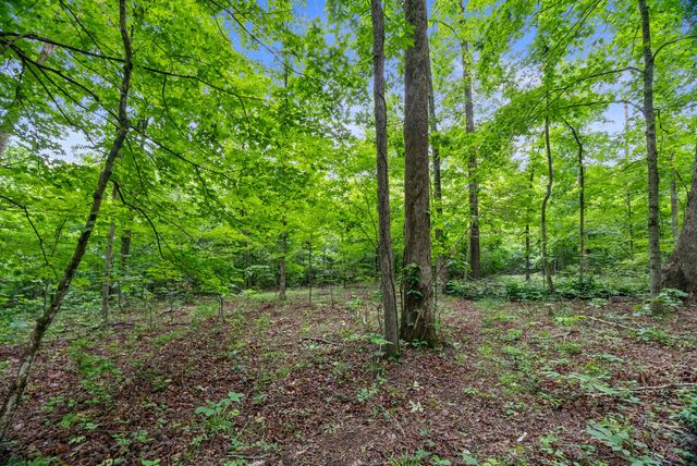 150A Dogwood Springs Dr, Portland, TN 37148