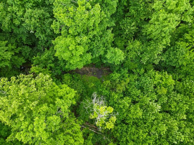 150A Dogwood Springs Dr, Portland, TN 37148