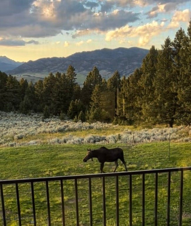 449 Minni Hall Road, Bozeman, MT 59715 photo 51