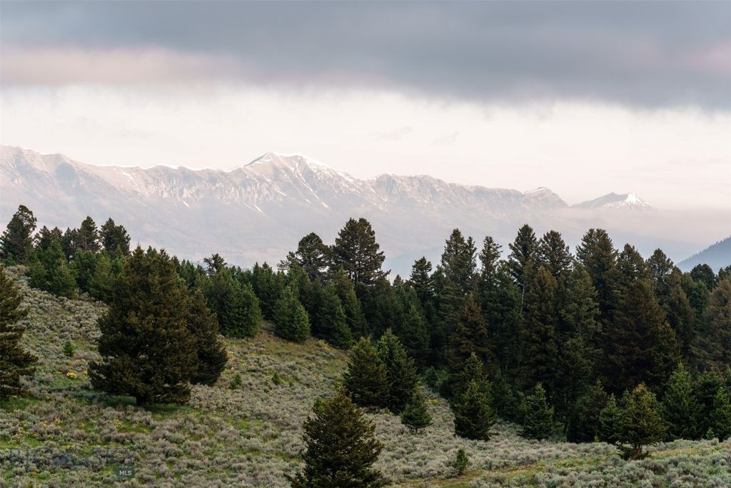 449 Minni Hall Road, Bozeman, MT 59715 photo 62