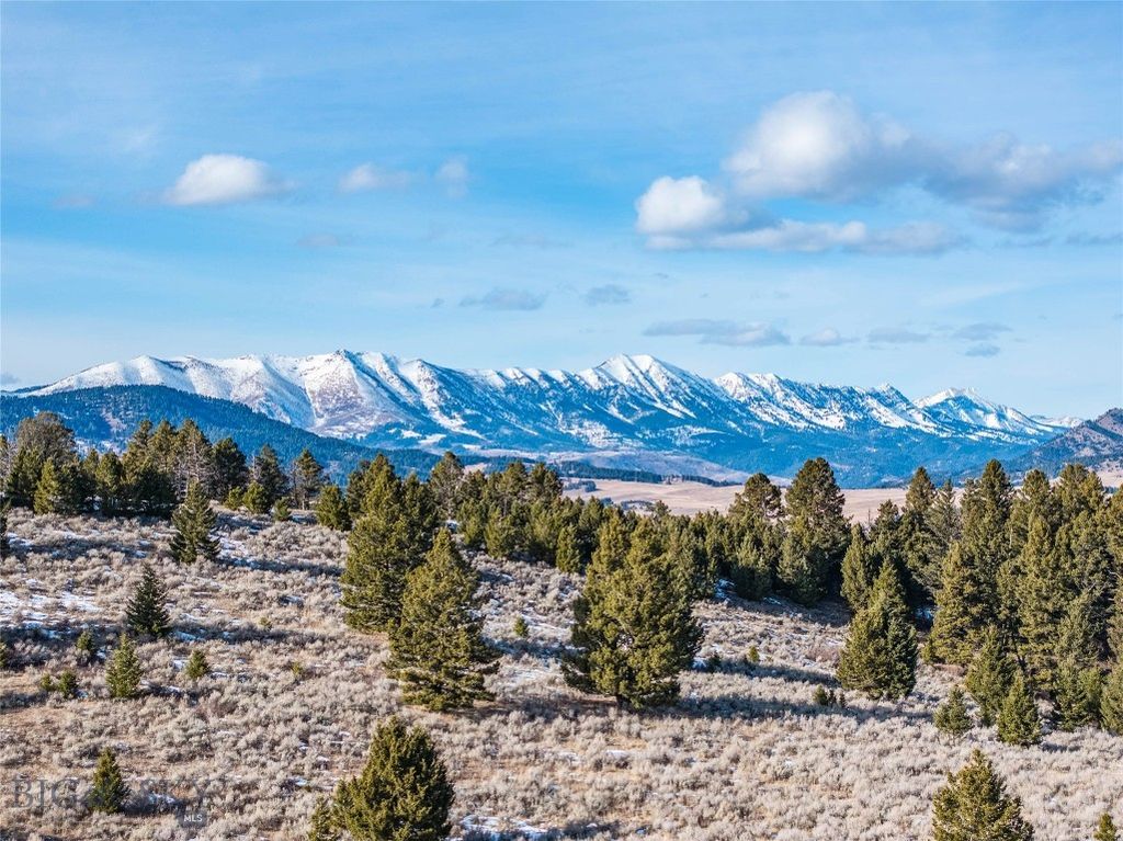 449 Minni Hall Road, Bozeman, MT 59715 photo 9