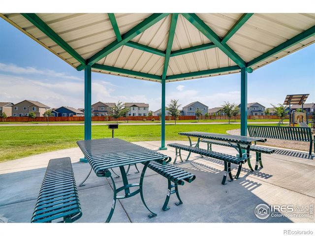 973 Cascade Falls Street, Severance, CO 80550