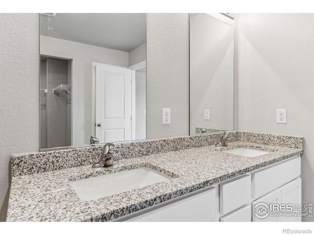 973 Cascade Falls Street, Severance, CO 80550