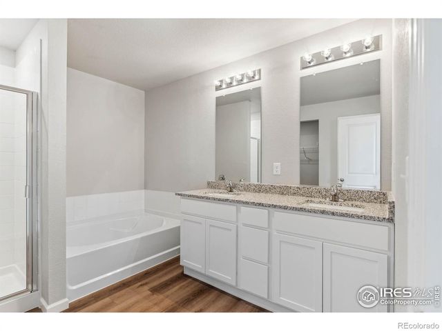 973 Cascade Falls Street, Severance, CO 80550