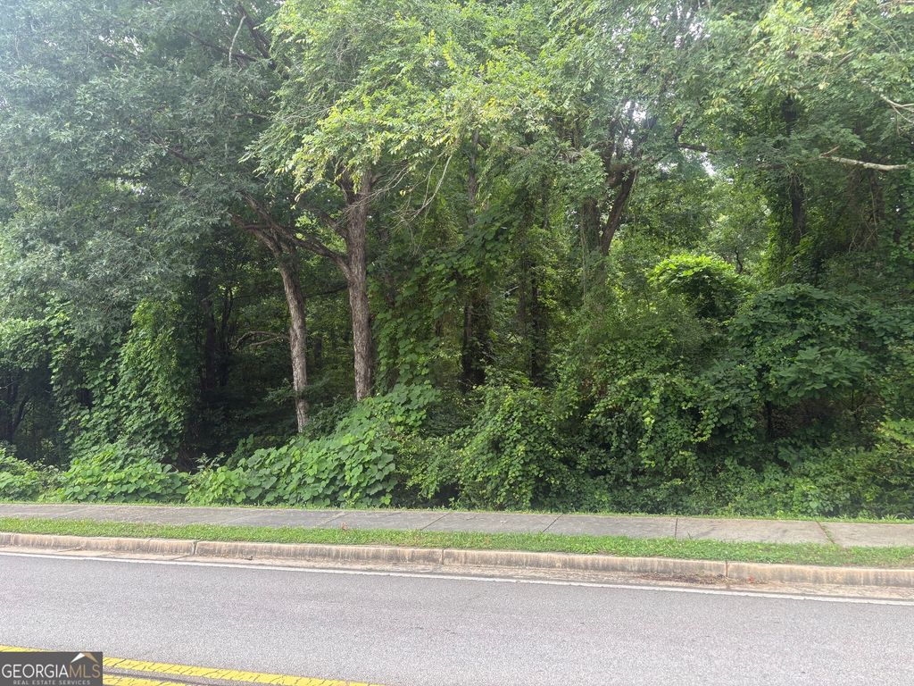 0 M L King Jr Drive, Jefferson, GA 30549