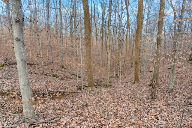 0 Waddell Hollow Road, Franklin, TN 37064