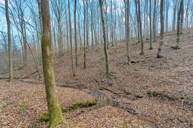 0 Waddell Hollow Road, Franklin, TN 37064