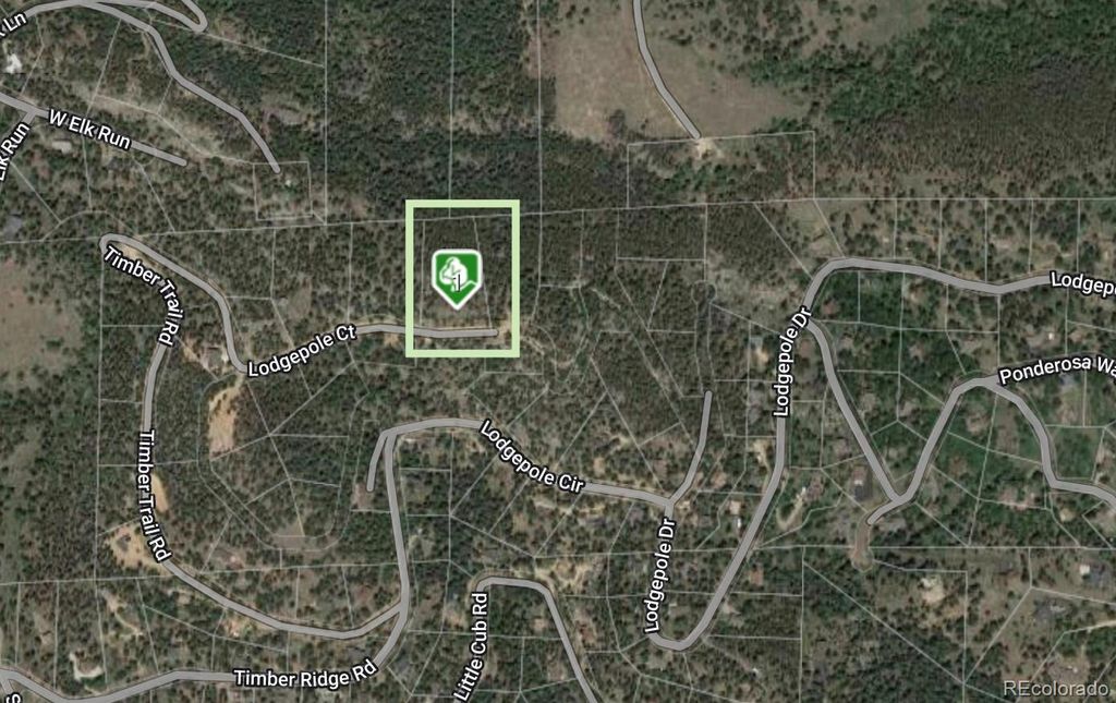 32593 Lodgepole Drive, Evergreen, CO 80439