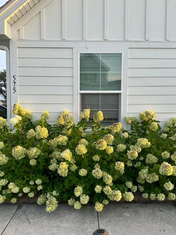 575 Pendleton Drive, Moncks Corner, SC 29461